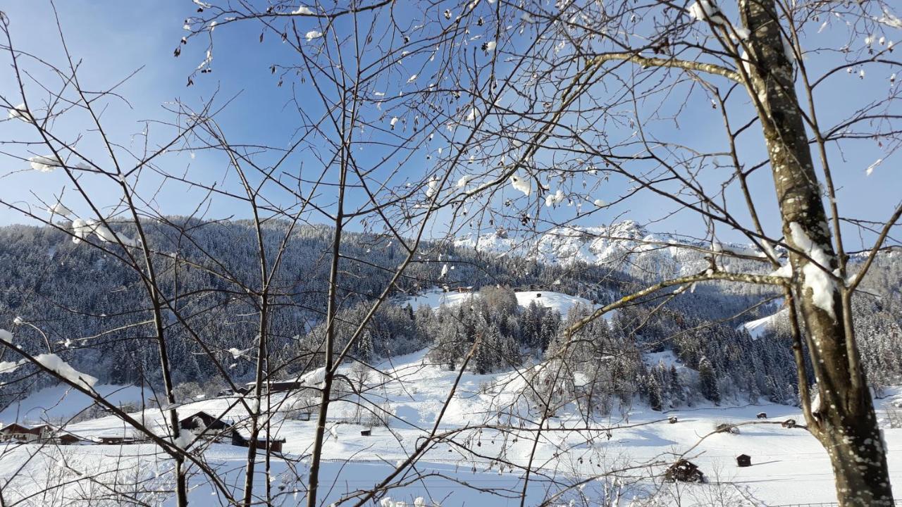 Haus Ruetzbach Apartment Neustift im Stubaital Luaran gambar