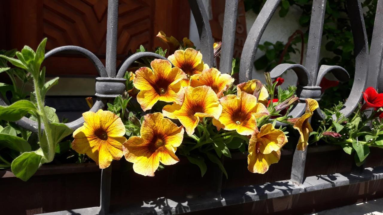 Haus Ruetzbach Apartment Neustift im Stubaital Luaran gambar